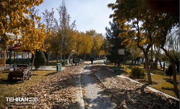 گذرگاه های پاییزی پایتخت - منطقه 9