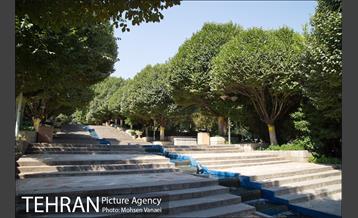 آژانس عکس تهران در هفته ی گذشته -4 1