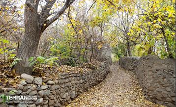 طبیعت پاییزی کوچه باغ‌های محله کن 22