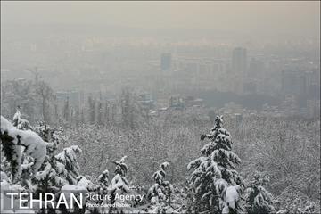 برف زمستانی پارک جمشیدیه 6