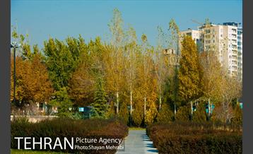 پاییز باغ موزه قصر 16