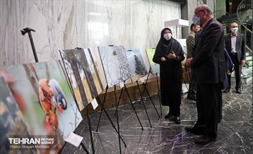 اختتامیه سومین دوره مسابقه عکاسی تنوع زیستی شهر تهران 50