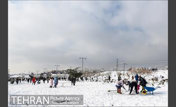 جشنواره مجسمه های برفی 24