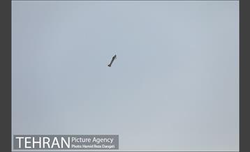 پرواز مدل ها بر فراز آسمان پایتخت 7