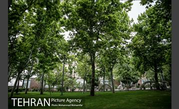 بوستان سیمرغ 7