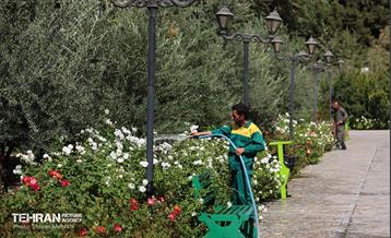 بازدید اصحاب رسانه از روند انجام عملیات احیای چیتگر 33