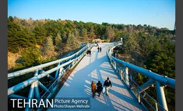 پاییز پل طبیعت 19