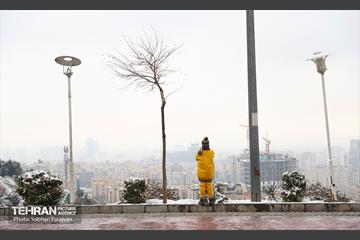 روز برفی تهران - 1 8