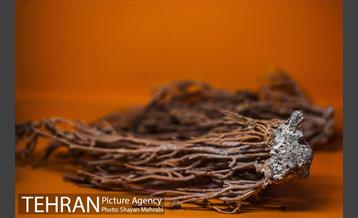 موزه علوم زمین 15