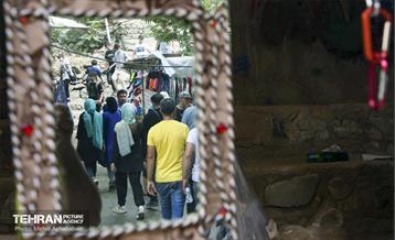 یک روز تعطیل در درکه 11