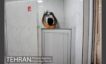 گرمخانه ها 17