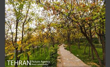 طبیعت پاییزی بوستان فدک 24