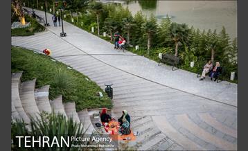 شهرنگار؛ باغ هنر 25