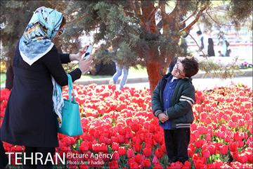 جشنواره لاله‌ها در بوستان زندگی محله هرندی 4