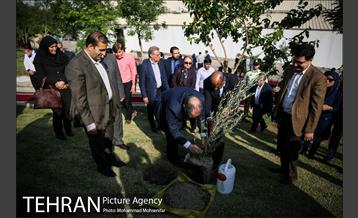 آئین درخت کاری به مناسبت تولد گاندی 13