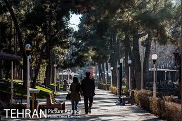 پارک ساعی 23
