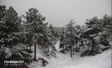 روز برفی تهران - 2 29