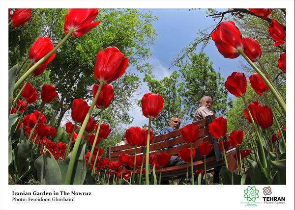 Nowruz In Tehran 43