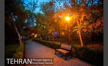 طبیعت پاییزی پارک شهر 15