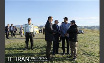 بازدید از پروژه جنگل کاری 1250 هکتاری 1