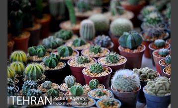 نمایشگاه بین المللی گل و گیاه 14