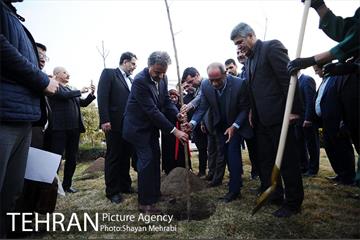 کاشت شش نهال درخت زیتون با حضور کارگرداران سینمای ایران 10