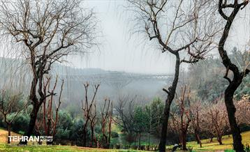 عباس آباد در مه 8