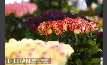 افتتاح هفدهمین نمایشگاه بین المللی گل و گیاه تهران  36