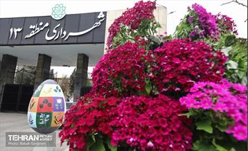 استقبال از بهار - 5 49