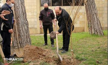 کاشت درخت توسط هنرمندان در فرهنگسرای نیاوران 2