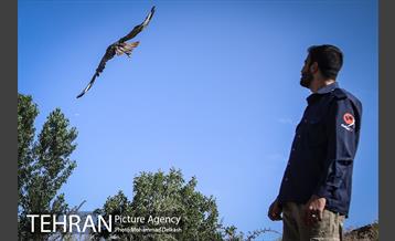 آزادسازی پرندگان و جمع آوری زباله در پارک جنگلی خجیر 15