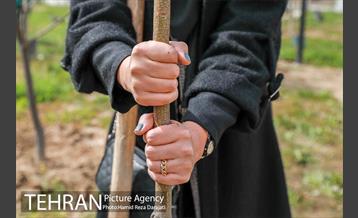 آیین درختکارى خبرنگاران در بوستان زندگى 8