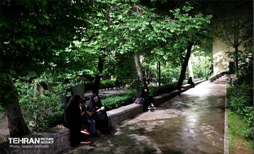 مراسم احیای شب بیست‌وسوم در دانشگاه تهران 39