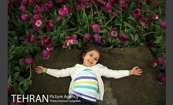 لاله های بهاری بوستان مختاری 32