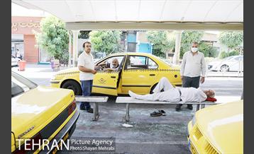 زیر آفتاب سوزان 22