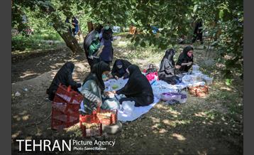 سومین دوره جشنواره توت کن 2