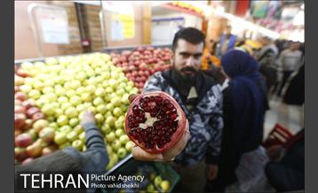 بازار میوه و تره بار جلال آل احمد در آستانه شب یلدا 19