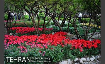 باغ ایرانی (بوستان مهندس مختاری) 25