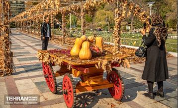 گذرگاه های پاییزی پایتخت - پارک ملت  4