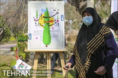 مراسم روز درختکاری در منطقه 7