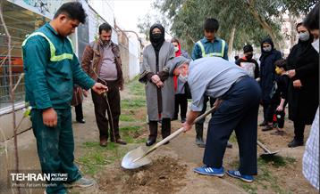 آیین محله تکانی در شهرک بیمه 20