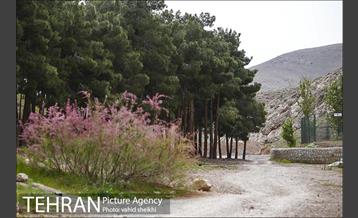 پارک ملی سرخه‌حصار 25