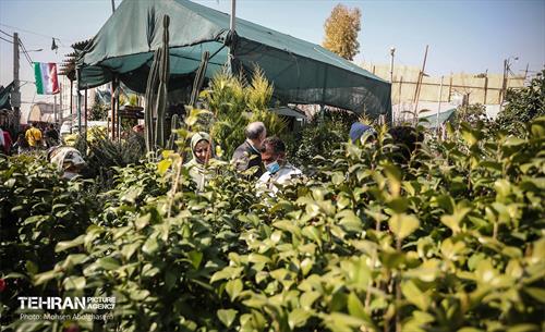 بازار گل شهید محلاتی در آخرین روزهاى سال 31