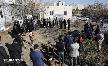 آیین کاشت 1310 نهال در منطقه 5 29