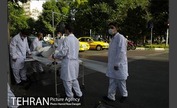 پویش سه شنبه های بدون خودرو  19