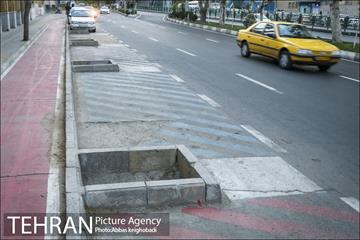 پارک خودرو‌ بین درختان چنار 20