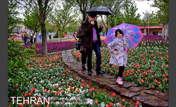 جشنواره لاله‌ها در بوستان زندگی محله هرندی 9