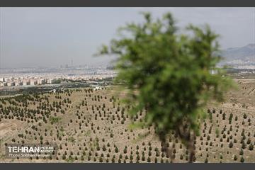 بازدید اصحاب رسانه از کمربند سبز 33