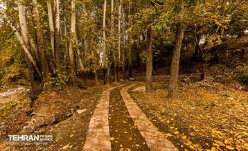 رود دره فرحزاد 44