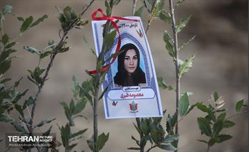 کاشت ۲۴۰۰۰ نهال به یاد شهدای پایتخت 3